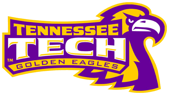 Tennessee Tech Golden Eagles 2006-Pres Alternate Logo v3 diy iron on heat transfer